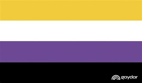 Bandeira Do Orgulho Não Binário Gaydar Espalhe Seu Orgulho