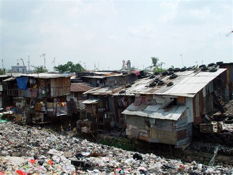 shanty town wiki everipedia