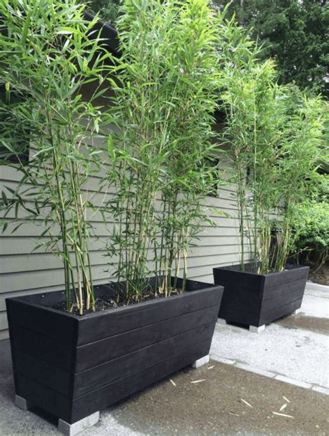 garden screening ideas garden screen  privacy   bamboo planter bamboo garden