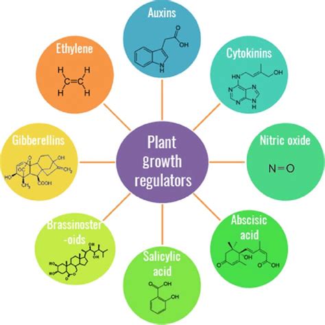 chemical structures  plant growth regulators  scientific