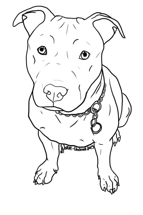 coloring pages pitbull pitbull desenho desenho de cachorro tatuagem