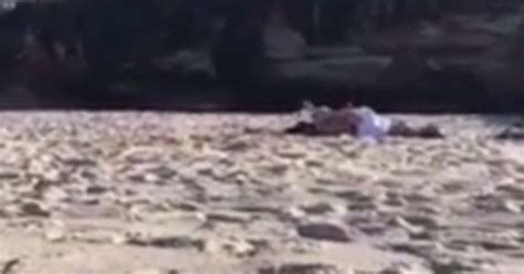 Randy Couple Filmed Having Public Sex On Sydney Beach