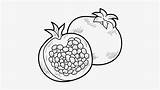 Pomegranate Drawing Colouring Getdrawings Nicepng sketch template