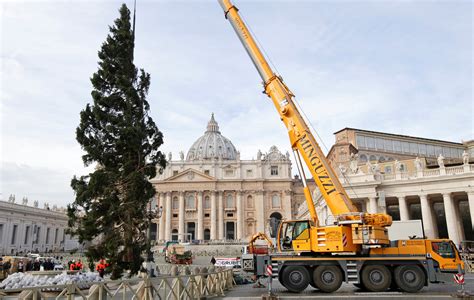 popes schedule released  christmas tree rises  tablet