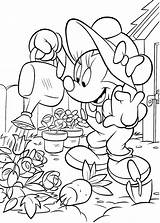 Minnie Mouse Flowers Watering Coloring Pages Categories sketch template