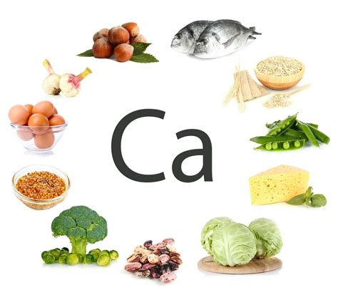 top  calcium rich foods  dairy