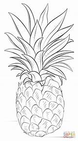 Pineapple Coloring Pages Drawing Ananas Dessin Printable Supercoloring Tutorials sketch template