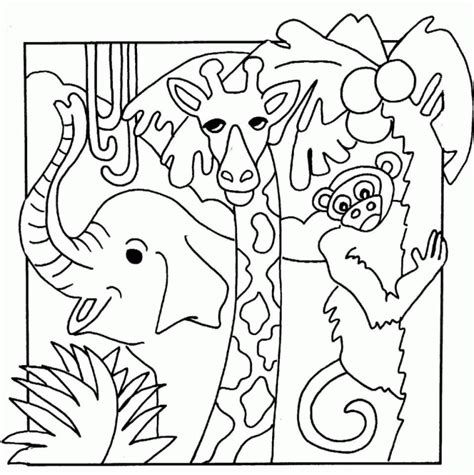 coloring pages safari coloring home