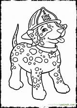 Dalmatian Fireman Firetruck Loudlyeccentric Coloringhome sketch template