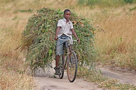 bicycle poverty reduction wikipedia