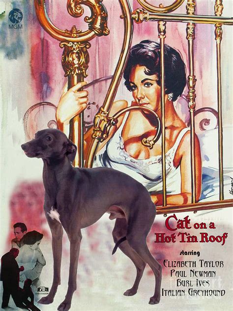 Italian Greyhound Art Cat On A Hot Tin Roof Movie Poster Painting By