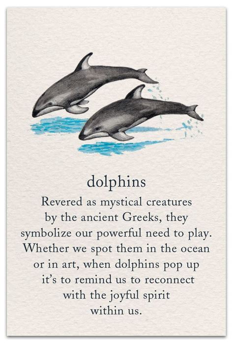positive quote  dolphins  art quotes quotebodycom