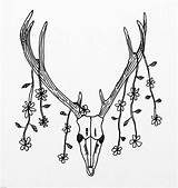 Skull Deer Drawing Geraud Aaron Drawings Wall 9th Uploaded November Which sketch template