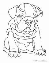 Bulldog Coloring Pages English Printable Georgia Coloriage Print Candy Dessin Color Dog Warm Getcolorings Hellokids Nicely Imagination Kids Getdrawings Choose sketch template