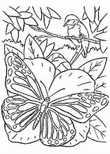 Papillon Imprimer Oiseau Papillons Coloriages Butterflies Insectes Schmetterlinge Hugolescargot Boyama Malvorlagen Mandalas Desen Tasarımları Sayfalar Kitapları Sayfaları Kelebekler Sanat Baskı sketch template