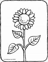 Sunflower Coloring Colouring Drawing Pages Book Ausmalbild Common Save Getdrawings sketch template