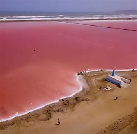 pink sea selfie tourists put miners   business