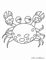 Crab Coloring Pages Hellokids Print Color Online sketch template