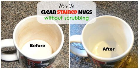 clean stained mugs  scrubbing thegreeningofwestfordcom
