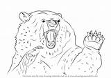 Bear Grizzly Angry Draw Step Drawing Bears Tutorials Drawingtutorials101 sketch template