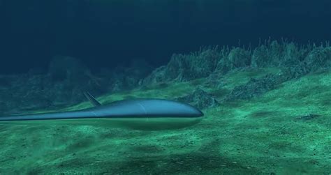 darpas manta ray underwater drones enter phase  demo vehicles    autoevolution