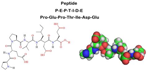introduction  peptide synthesis