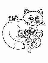 Coloring4free Kittens Benefit Kidsplaycolor sketch template