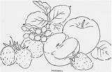 Frutas Tecido Riscos Legumes Fruta Verduras Pesquisa Artes sketch template