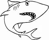 Shark Coloring Pages Print Colouring Hammerhead Sharks sketch template