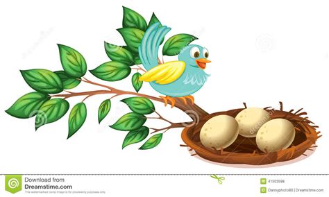 Eine Blaue Vogelbeobachtung Die Eier Im Nest Vektor