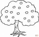 Apple Tree Coloring Color Pages Printable Popular sketch template