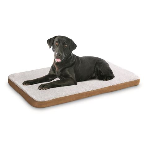 heated pet bed  pet accessories  sportsmans guide