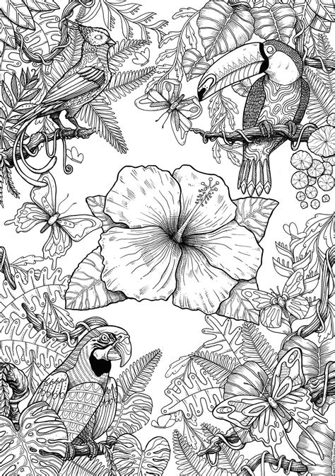 birds  behance bird coloring pages detailed coloring pages cute