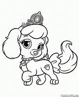 Ausmalbilder Cucciolo Cachorro Kart Puppy Colorir Colorkid Fotografieren Ausgezeichnet Beste Neu Principessa Zucca Domestici Welpen Cuccioli Hundewelpen Principesse Kolorowanka Disney sketch template