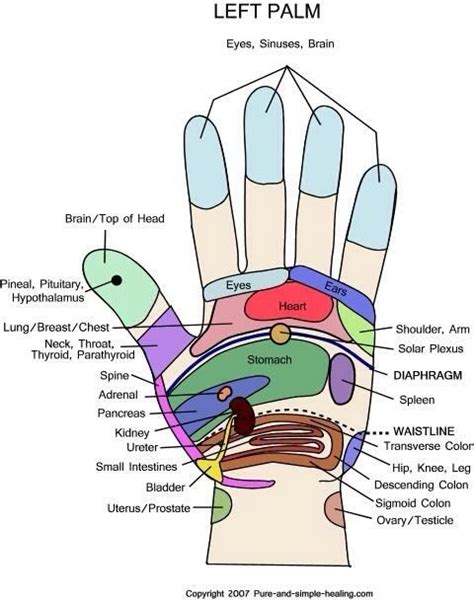 left hand integrative medicine reflexology reflexology chart hand