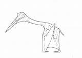 Quetzalcoatlus Dinosaur sketch template