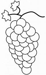 Uva Grapes Desenho Mewarnai Anggur Grappolo Uvas Grape Colouring Stampare Moldes Lavoretto Autunno Untuk sketch template