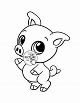 Pig Colorear Tiernos Bebes Getcolorings Colorings sketch template