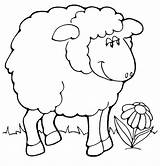 Sheep Coloring Shaun Bighorn Pages Flower Beautiful Getcolorings Color sketch template