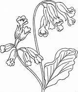 Flower Coloring Pages Bell Blue sketch template