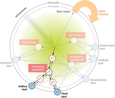 schematic proposal   mapping   phenomenal  model    scientific
