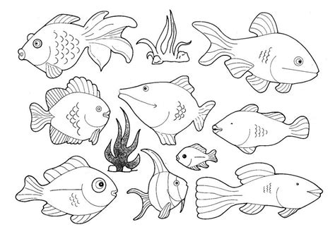 coloring pages  saltwater fish printable coloring sheet anbu