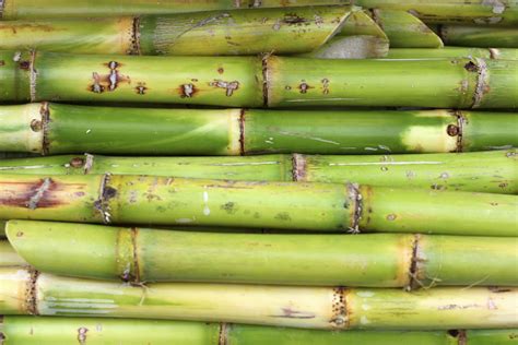 kind  sugar   sugar cane healthfully