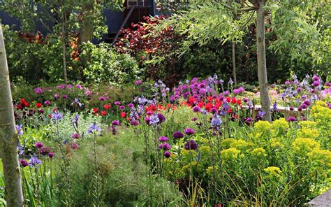 bloembollen planten een kleurrijke en levendige tuin de groot hoveniers