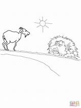 Troll Tegninger Gruff Goats Question Trolden Midterste Taler Bruse Bukke Farvelaegning sketch template