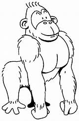 Gorille Gorilla Gorila Animaux Pages Albumdecoloriages Coloriage Trait Coloriages sketch template
