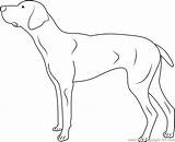 Doberman Coloring Pages Dog Dogs Kids Coloringpages101 Color Mammals sketch template