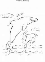 Delfini Saltano Coloradisegni sketch template