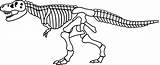 Dinosaur Bones Pluspng Coloring Dinosour sketch template