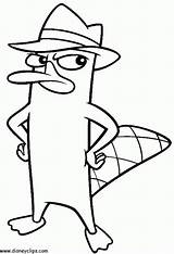 Perry Phineas Ferb Platypus Letscolorit sketch template